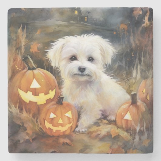 Halloween Coton De Tulear mit Pumpkins Beängstigen Steinuntersetzer (Vorderseite)