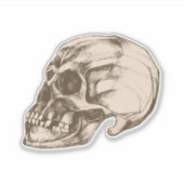Halloween Cranium Vinyl Aufkleber (Vorderseite)