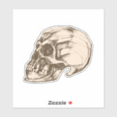 Halloween Cranium Vinyl Aufkleber (Blatt)