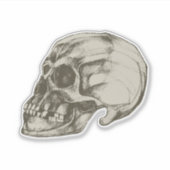 Halloween Cranium Vinyl Aufkleber (Vorderseite)