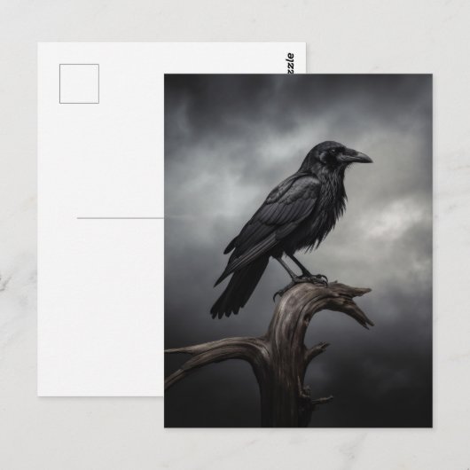 Halloween Crow Postkarte (Vorne/Hinten)