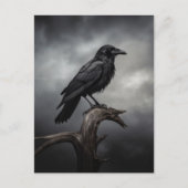 Halloween Crow Postkarte (Vorderseite)