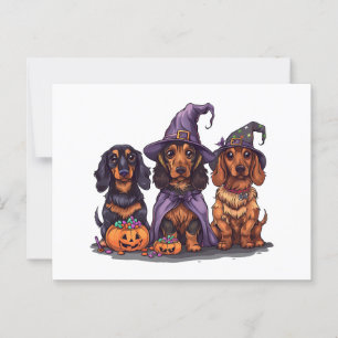 Halloween Dackel Hexenhunde Postkarte