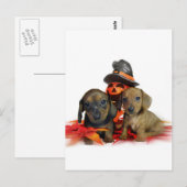 Halloween-Dackel-Welpen Postkarte (Vorne/Hinten)