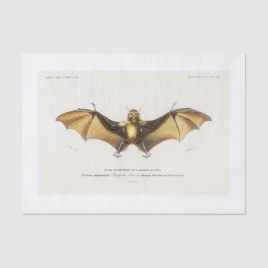 Halloween-Decoup Seidenpapier (Vorderseite)