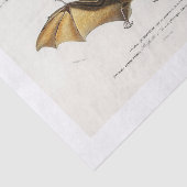 Halloween-Decoup Seidenpapier (Ausschnitt)