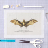 Halloween-Decoup Seidenpapier (Handwerk)