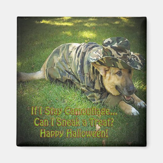 Halloween Dog in Tarnung Magnet (Vorne)