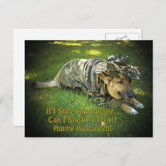 Halloween Dog in Tarnung Postkarte (Vorne/Hinten)