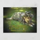 Halloween Dog in Tarnung Postkarte (Vorderseite)