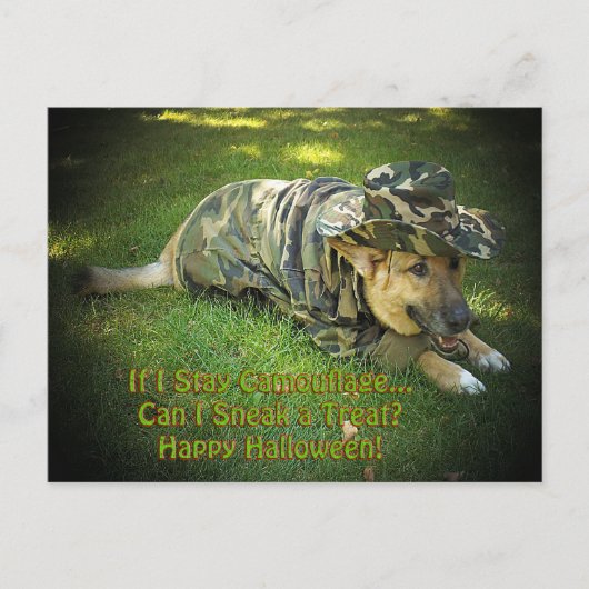 Halloween Dog in Tarnung Postkarte (Vorderseite)