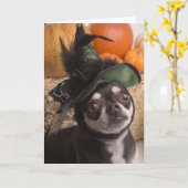 Halloween Dog Karte (Gelbe Blume)