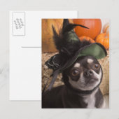 Halloween Dog Postkarte (Vorne/Hinten)