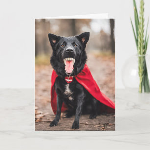 Halloween-Dracula-Hund Feiertagskarte