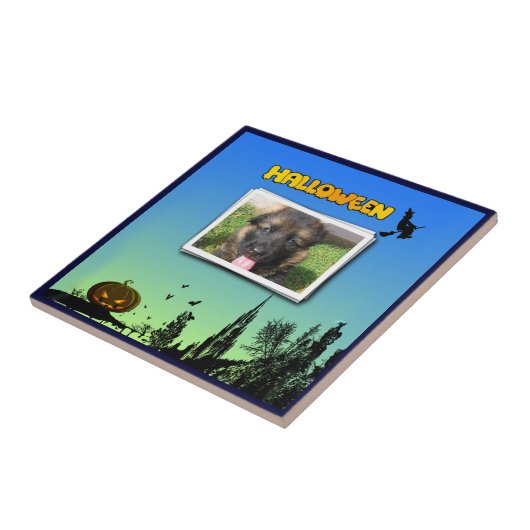 Halloween Dusk with Witch Add Photo Frame Fliese (Seite)