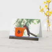 Halloween-Eichhörnchen Karte (Gelbe Blume)