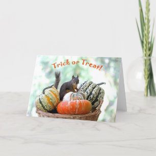 Halloween-Eichhörnchen Karte