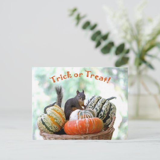 Halloween-Eichhörnchen Postkarte (Stehend Vorderseite)