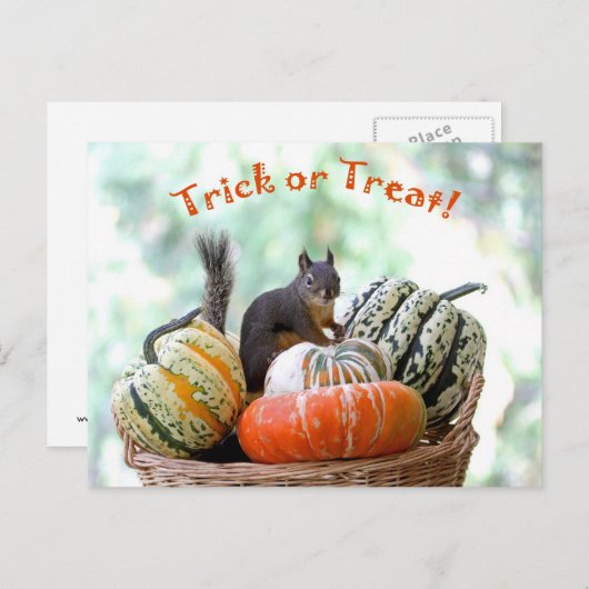 Halloween-Eichhörnchen Postkarte (Vorne/Hinten)
