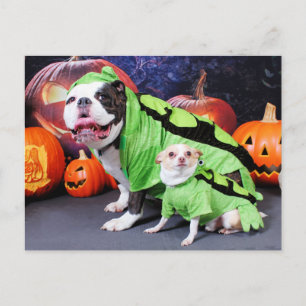Halloween English Bulldog Spike - Chihuahua Gizmo Postkarte