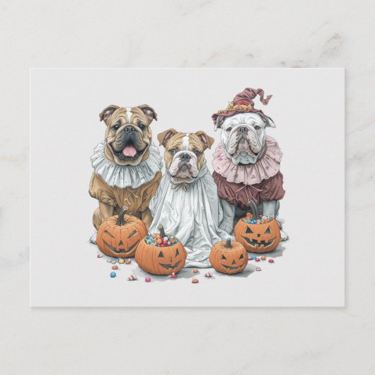 Halloween English Bulldogs Pumpkin Postkarte (Vorderseite)