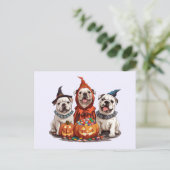 Halloween English Bulldogs Pumpkin Postkarte (Stehend Vorderseite)