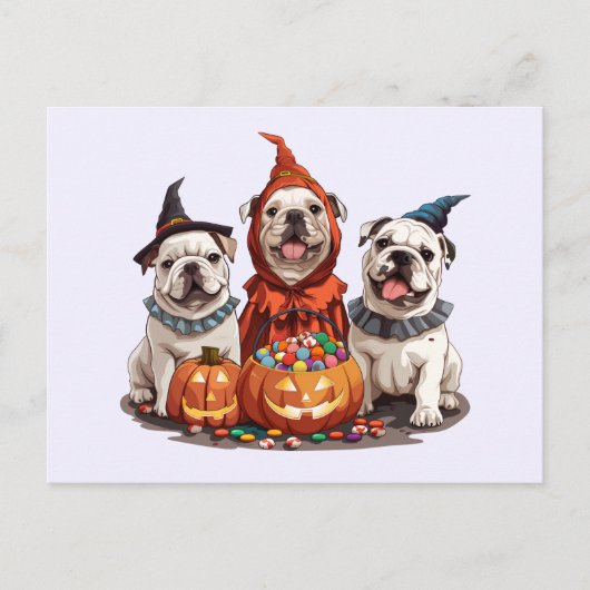 Halloween English Bulldogs Pumpkin Postkarte (Vorderseite)