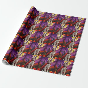 Halloween English Setter Vampir Kürbisse Gruselig Geschenkpapier