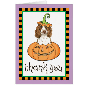 Halloween English Springer Vielen Dank