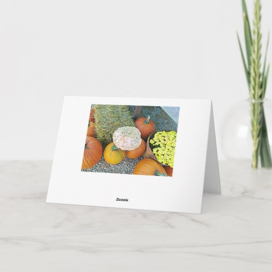 Halloween Fall Pumpkins Display Card Karte (Rückseite)