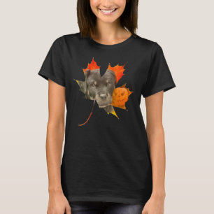 Halloween Fall Rottweiler Hund T-Shirt