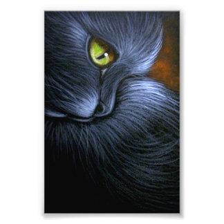 HALLOWEEN FANTASY BLACK CAT 4" X 6" DRUCKEN FOTODRUCK