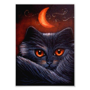 HALLOWEEN FANTASY BLACK CAT & ORANGE MOON DRINT FOTODRUCK