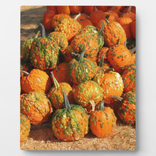 Halloween Fotoplatte