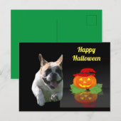 Halloween französische Bulldogge French Bulldog Postkarte (Vorne/Hinten)