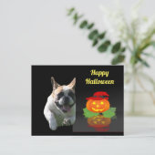 Halloween französische Bulldogge French Bulldog Postkarte (Stehend Vorderseite)