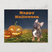 Halloween französische Bulldogge Postkarte (Vorderseite)