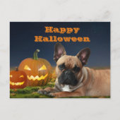 Halloween französische Bulldogge Postkarte (Vorderseite)