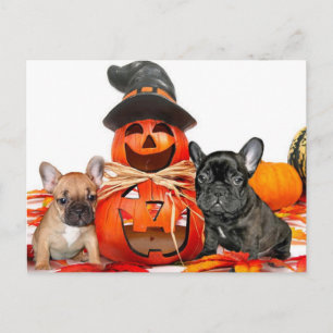 Halloween French Bulldogs Postkarte