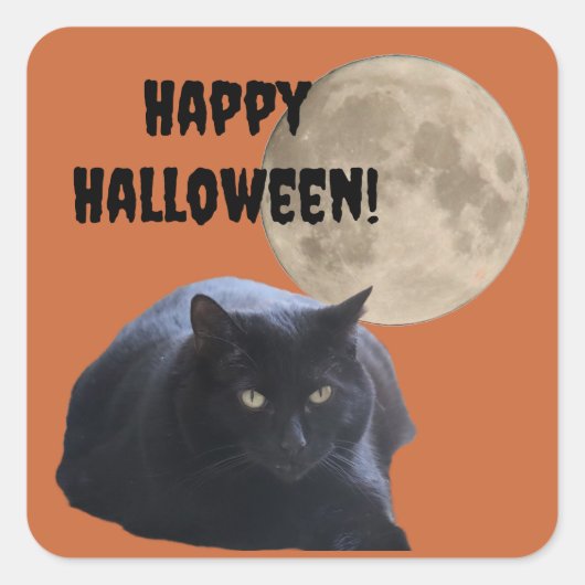 Halloween Full Moon Black Cat Quadratischer Aufkleber (Vorderseite)