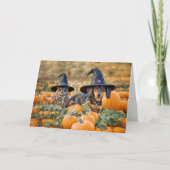 Halloween Funny mit Niedlichem Owl und Dackel Karte (Vorderseite)