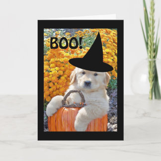 Halloween Funny Puppy Witz Grußkarte Karte
