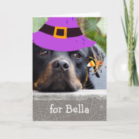 Halloween für Großtochter Rottweiler und Spider