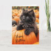 Halloween Geburtstag Kitten On Pumpkin Karte (Vorderseite)