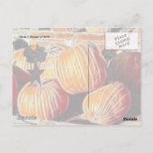 Halloween Geburtstag! Postkarte (Rückseite)