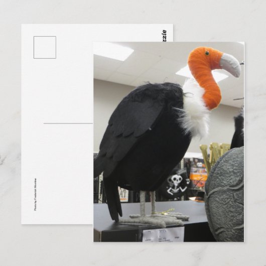 Halloween-Geier Postkarte (Vorne/Hinten)