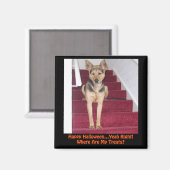 Halloween German Shepherd Hund Keine Leckereien Magnet (Vorderseite/Rückseite)