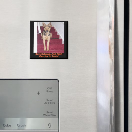 Halloween German Shepherd Hund Keine Leckereien Magnet (In Situ (Kühlschrank))
