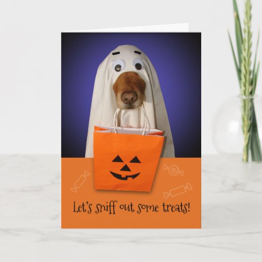 Halloween Ghost Dog, Sniff Out Leckereien Karte (Vorderseite)
