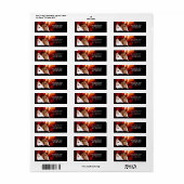 Halloween Ghosts (Vorne)